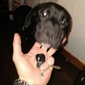 Meet your Posher, Derrick